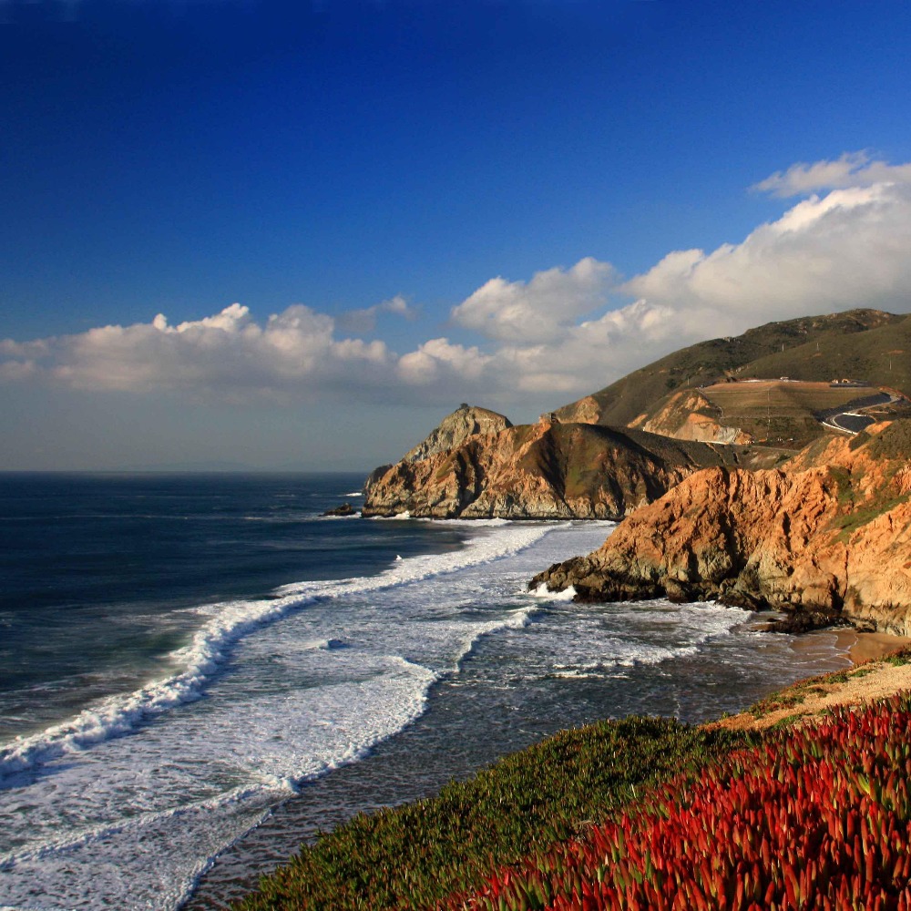 Meet your Posher, Kai.